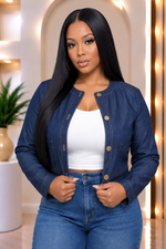 Hudson Denim Jacket