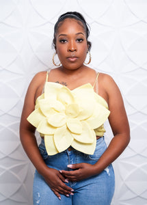 Sunny Crop Top